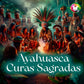 Formação / Curso Cura Sagrada: ayahuasca, Cogumelos, cactos, outros... -