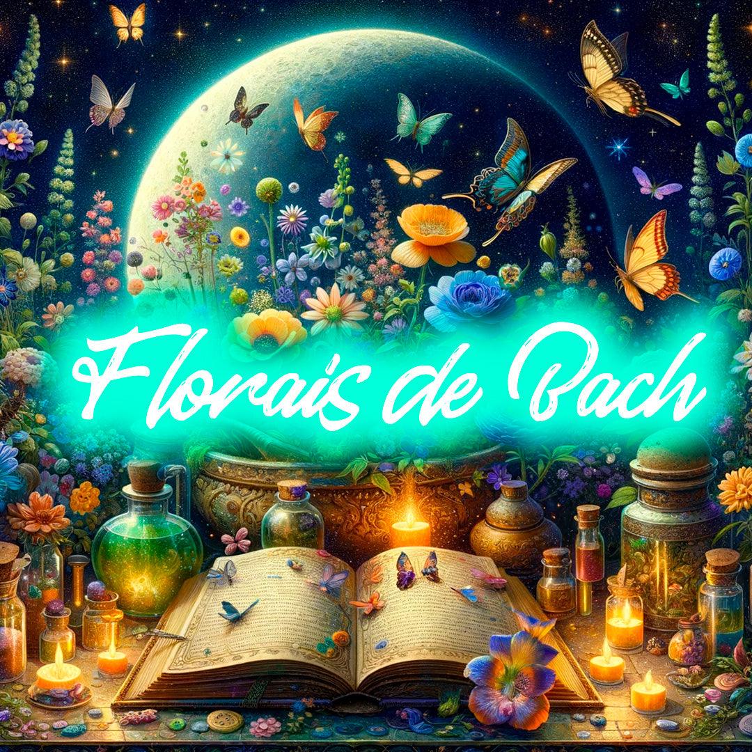 Formação / Curso Florais Bach ® - Cursos Courses Online